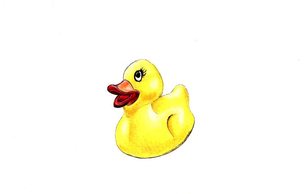 1000x633 rubber ducky art print of an original drawing available etsy - Rubber Duck Drawing