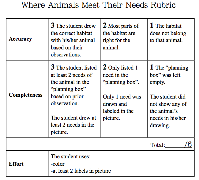 rubric for drawing assignment