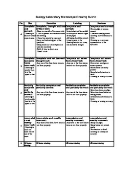 270x350 Microscope Drawing Rubric - Rubrics For Drawing