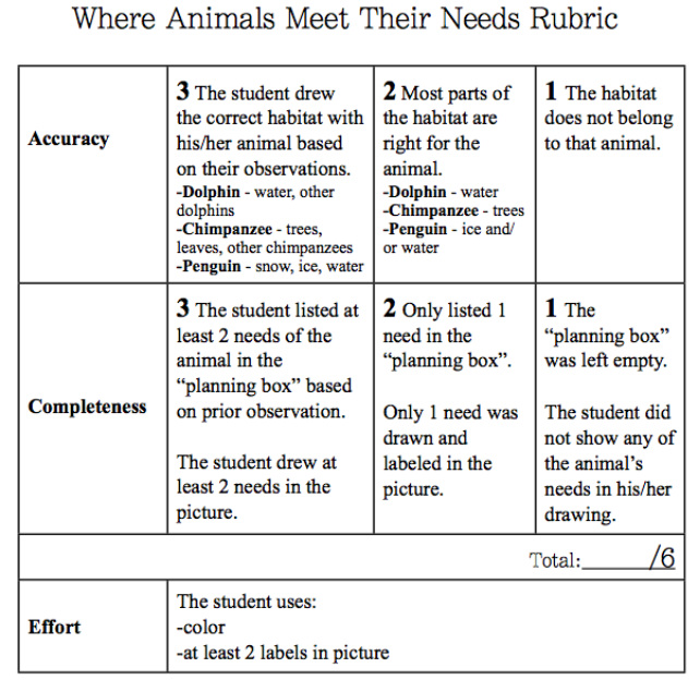 642x624 assessment blueprint - Rubrics For Drawing