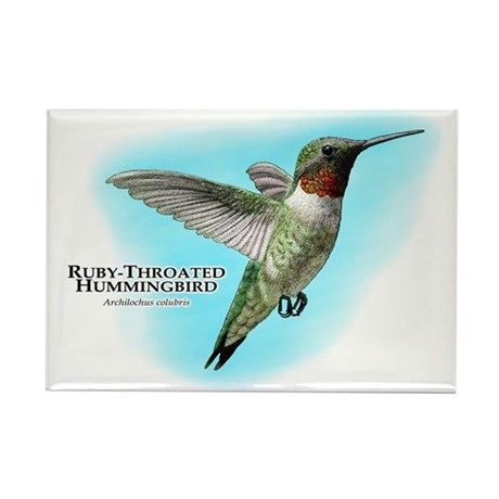 460x460 hummingbird drawing magnets - Ruby Throated Hummingbird Drawing