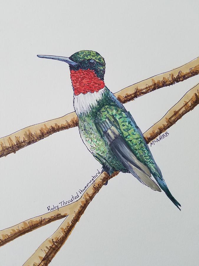 Ruby Throated Hummingbird Drawing at Explore