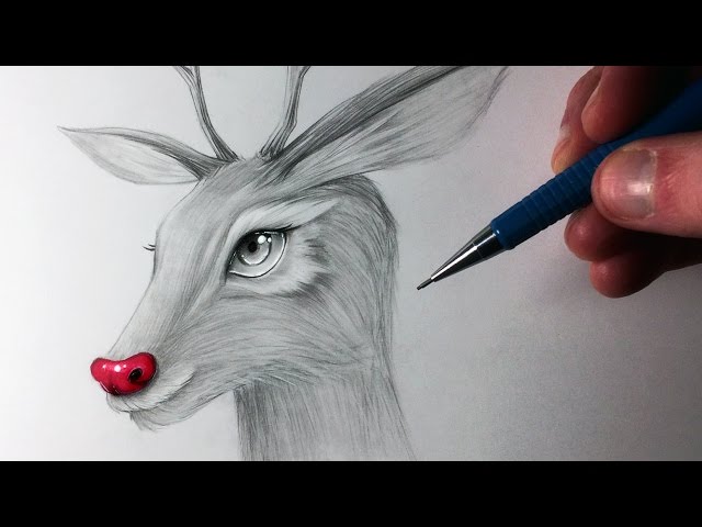 Rudolph Drawing at PaintingValley.com | Explore collection of Rudolph ...