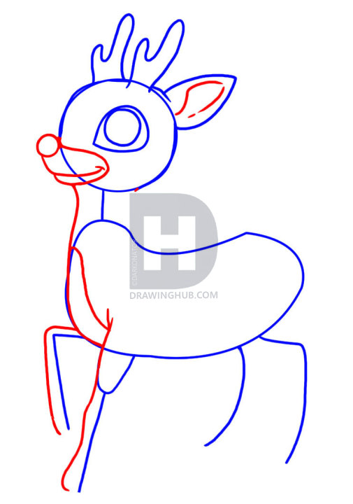 505x720 how to draw rudolph the red nosed reindeer, step - Rudolph The Red Nosed Reindeer Drawing