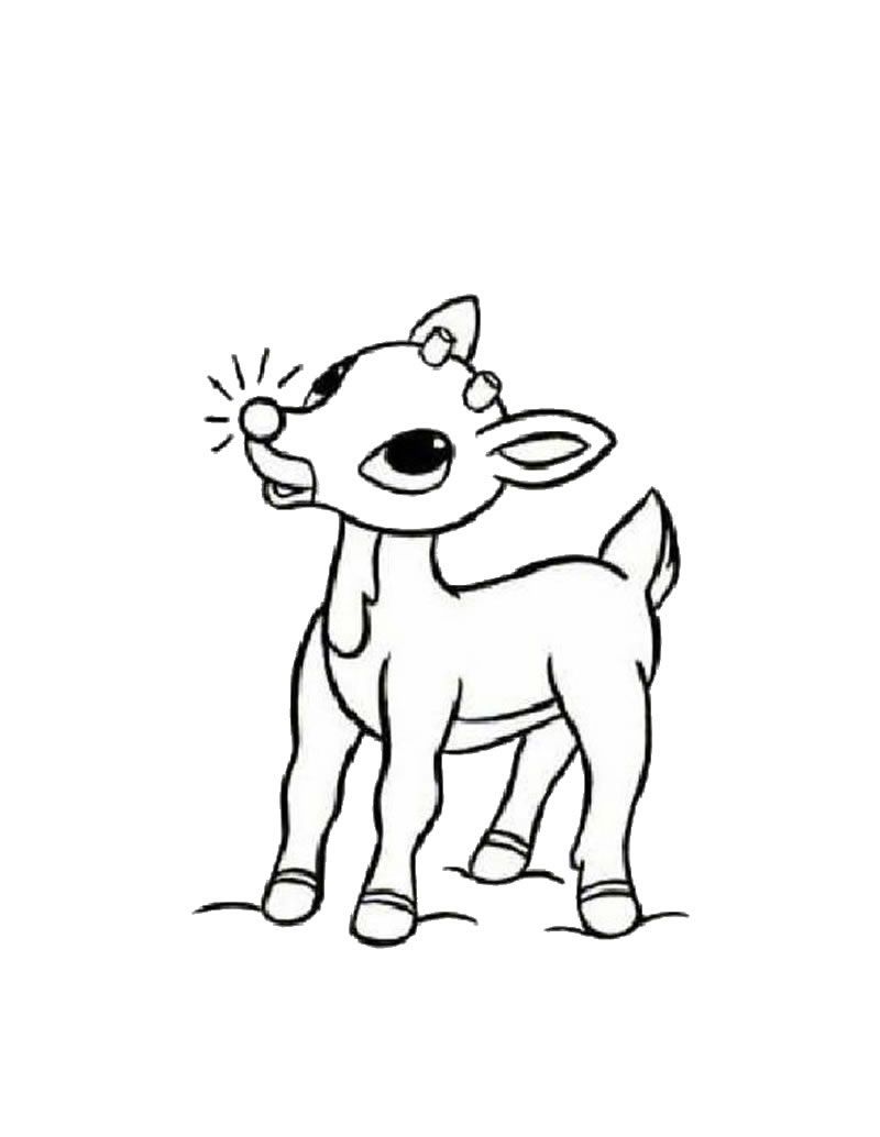 800x1034 rudolph the red nosed reindeer coloring - Rudolph The Red Nosed Reindeer Drawing