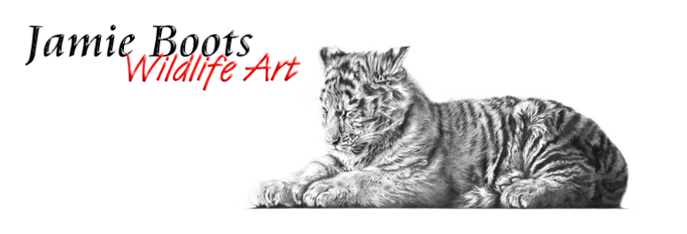 776x265 drawing workshops - Rugby Drawing