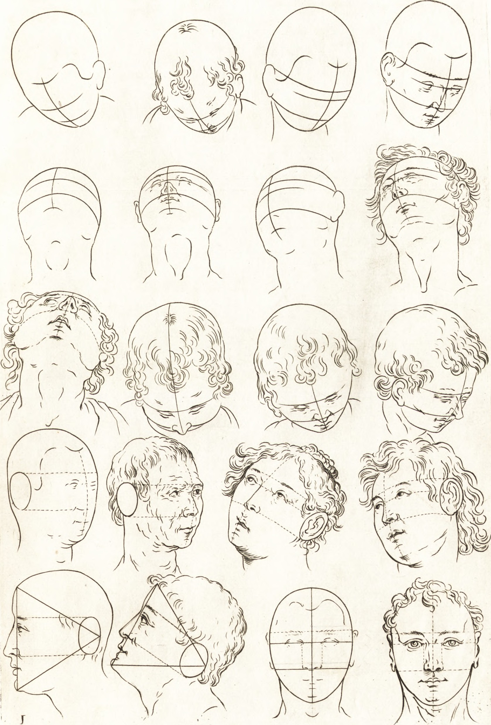 1678x2476 Filears Pictoria - Rules Drawing