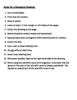 270x350 Rules For A Biological Drawing - Rules Drawing