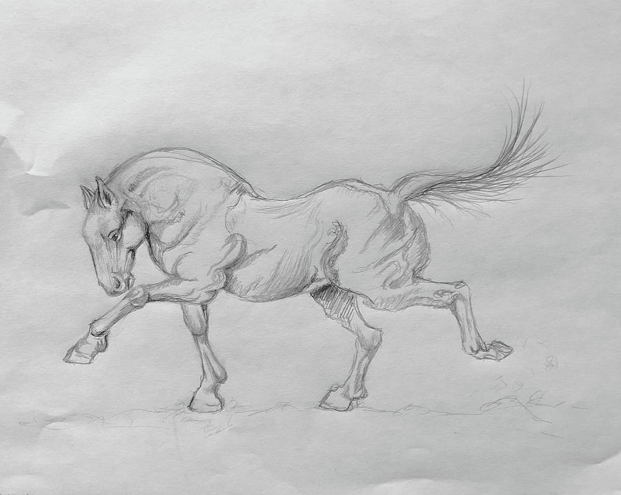 900x718 bent up runner drawing - Runner Drawing