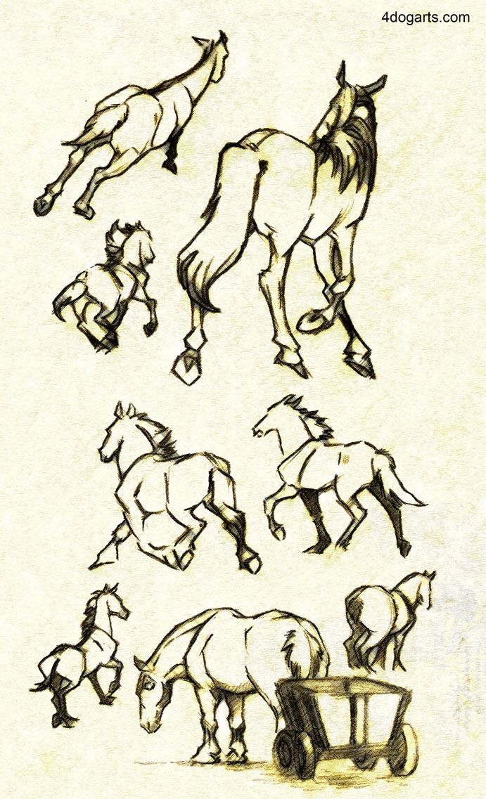 691x1137 Horses Running Away Sketches Htdhorses Horse Drawings - Running Away Drawing