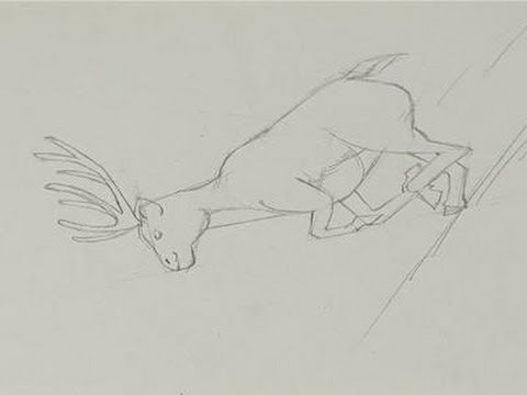 480x360 How To Draw A Running Deer - Running Deer Drawing