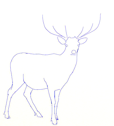400x440 How To Draw A Deer - Running Deer Drawing