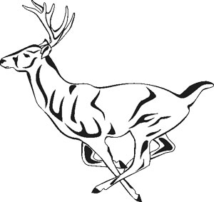 300x283 On The Spot Transfer Deer Running - Running Deer Drawing
