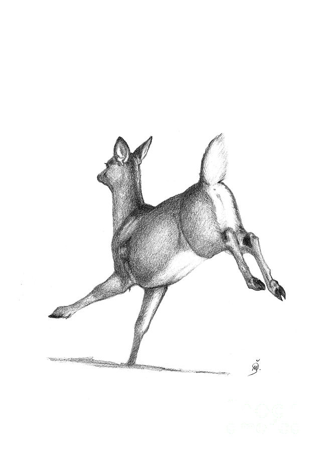 636x900 Running Deer Drawing - Running Deer Drawing
