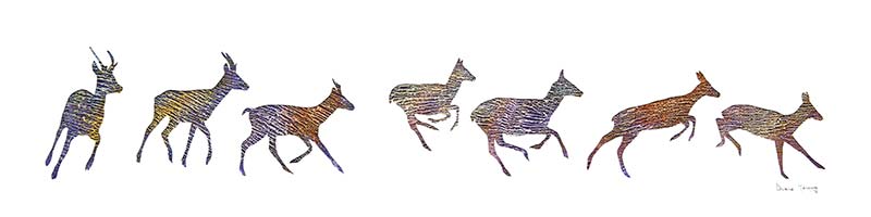 800x200 Running Deer - Running Deer Drawing