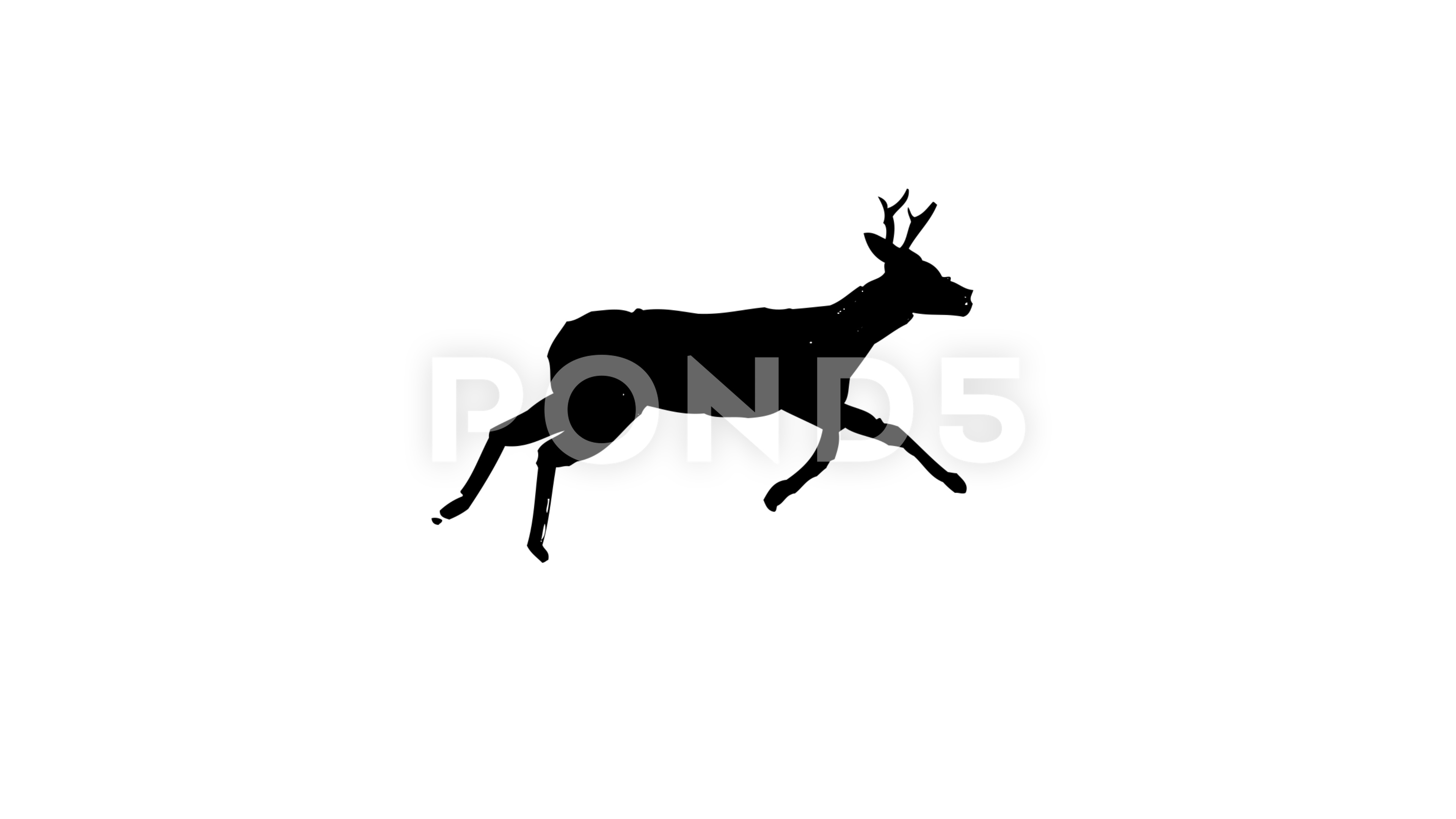 3840x2160 running deer drawing animation drawn with japan calligraphic - Running Deer Drawing