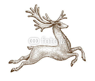 400x340 Running Deer Drawn Vintage Sketch Vector Illustration Buy - Running Deer Drawing