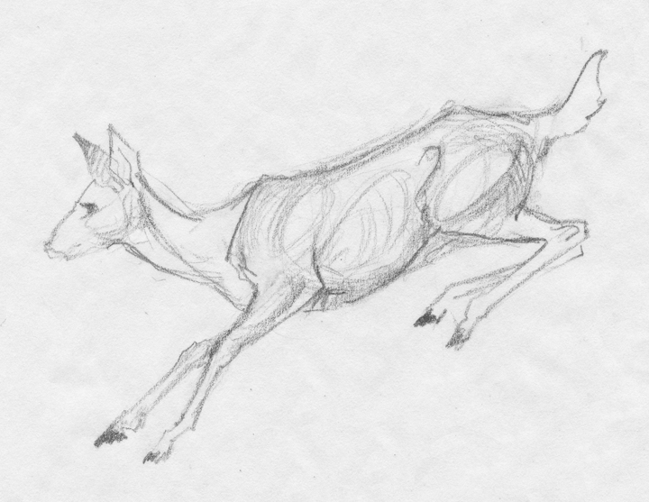 720x557 Sandy Scott Art - Running Deer Drawing