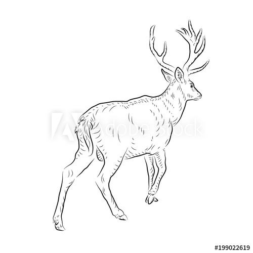 500x500 Sketch Of Running Deer Handmade - Running Deer Drawing