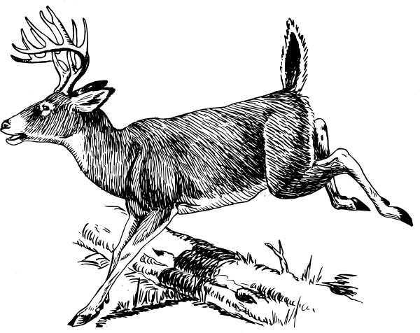 600x476 Deer Clip Art - Running Deer Drawing