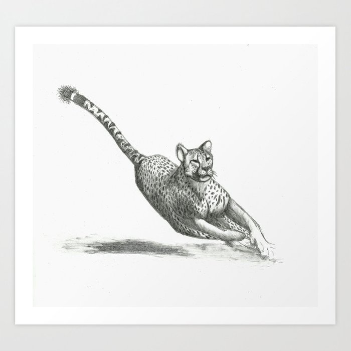 700x700 Running Cheetah Drawing Art Print - Running Drawing