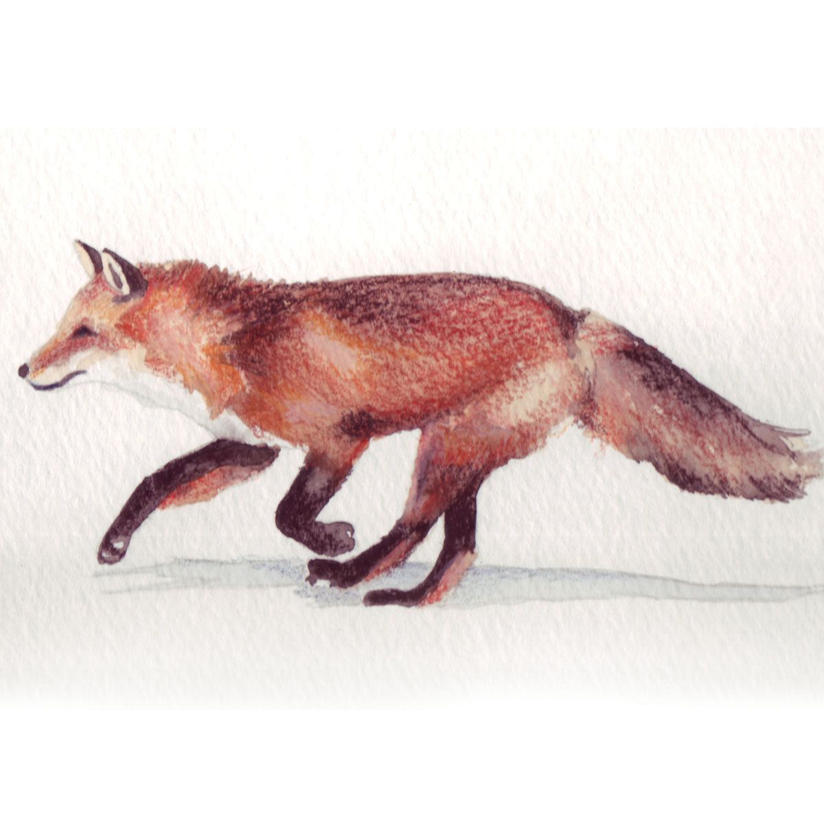 1200x1200 Allyson Tattoo In Fox - Running Fox Drawing