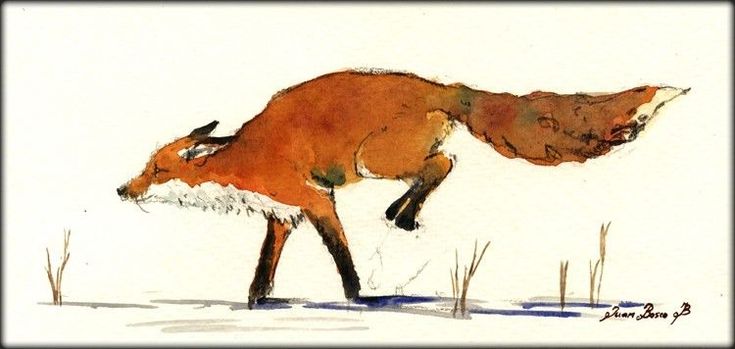 735x349 Red Fox Running Drawing - Running Fox Drawing