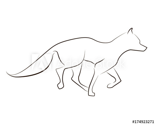 500x400 Running Black Line Fox On White Background Hand Drawing Vector - Running Fox Drawing