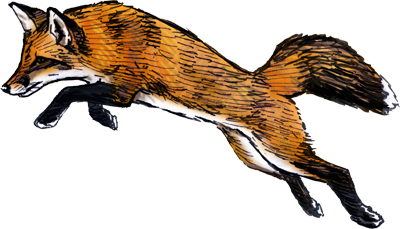 400x229 Cross Fox Silvercrossfox - Running Fox Drawing
