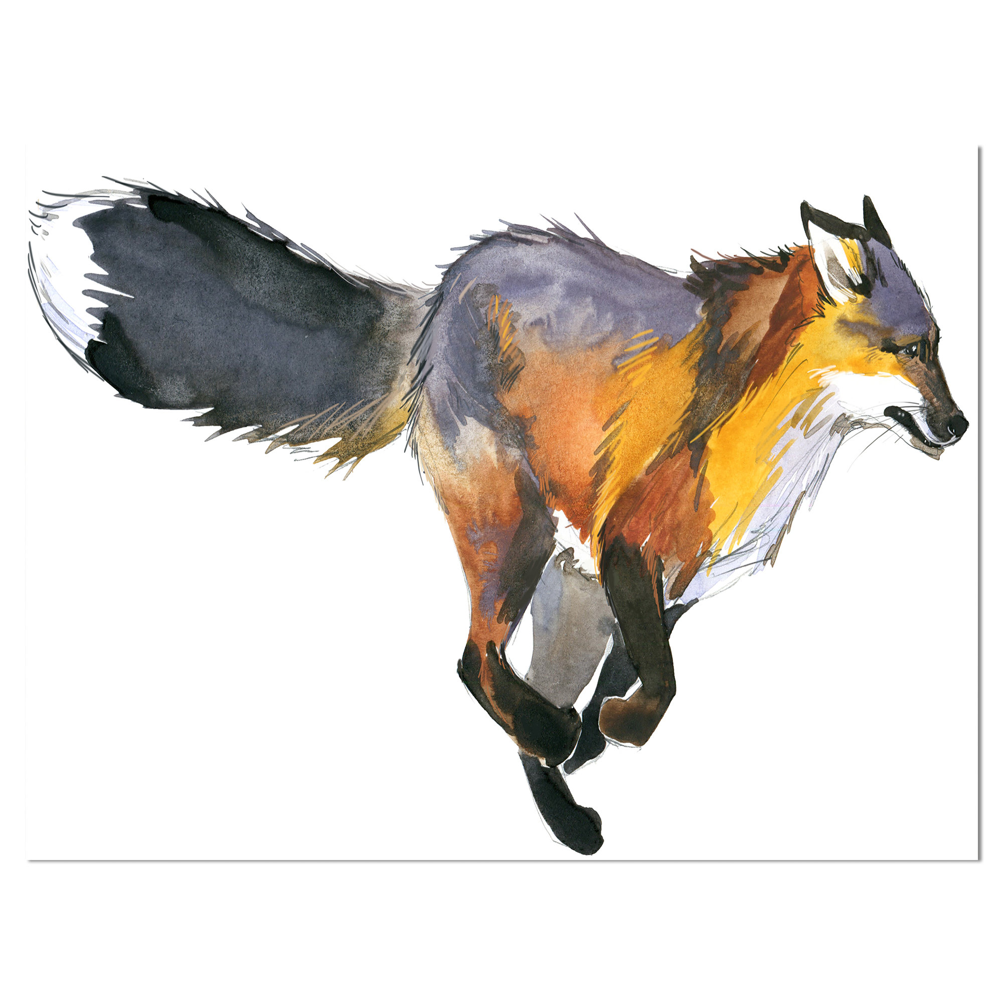 Running Fox Drawing at Explore collection of