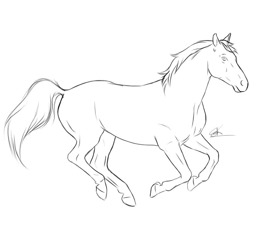 900x769 horse sketches outline running horse - Running Horse Drawing