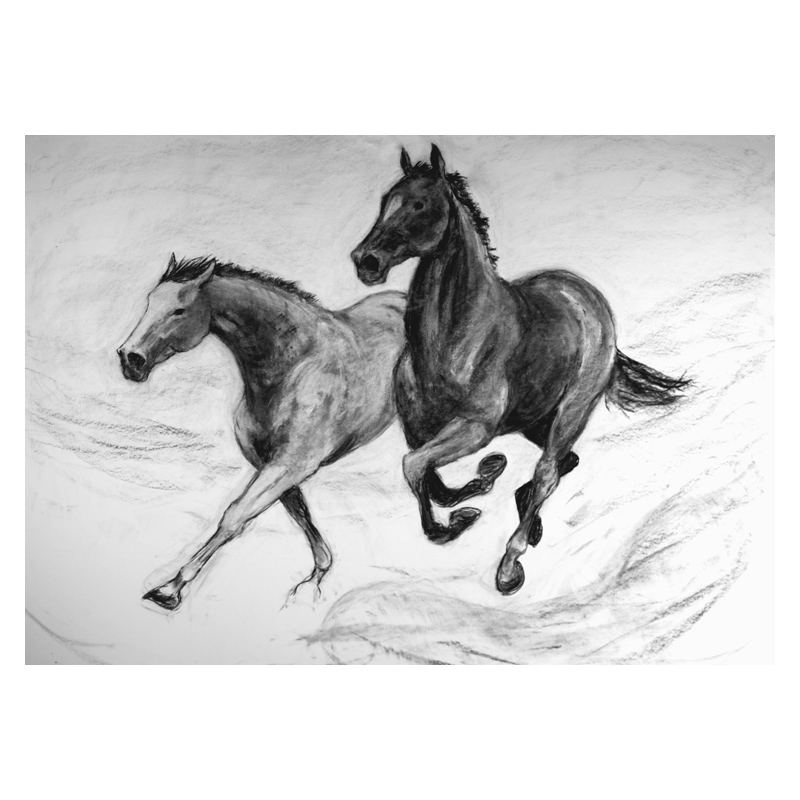 800x800 Racing Scenes Two Horses Running Free Charcoal Drawing - Running Horse Drawing