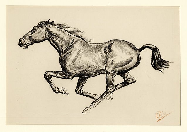 638x450 running horse drawing feel the wind in your face equine art help - Running Horse Drawing