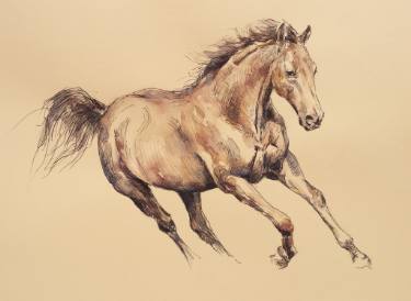 375x274 running horse drawing - Running Horse Drawing
