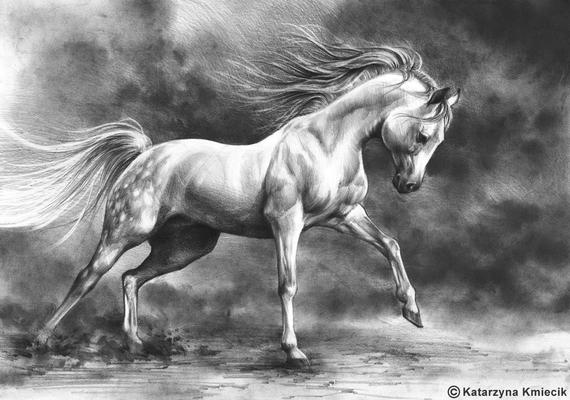 570x400 running horse original drawing equine art birthday gift etsy - Running Horse Drawing