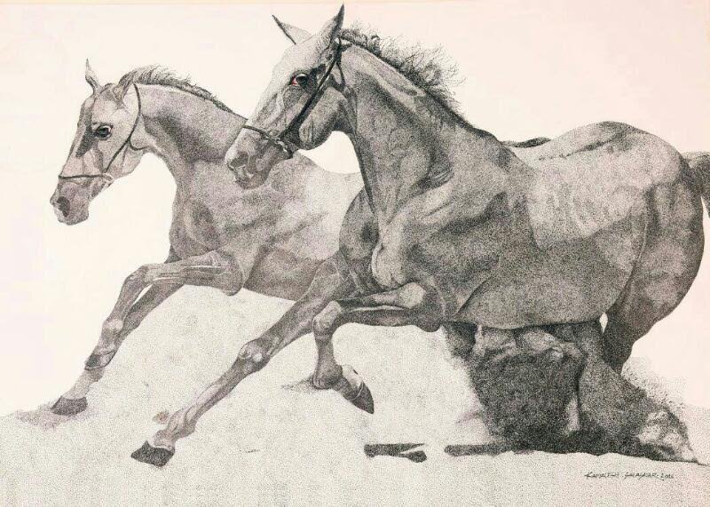 800x571 Two Running Horses - Running Horse Drawing