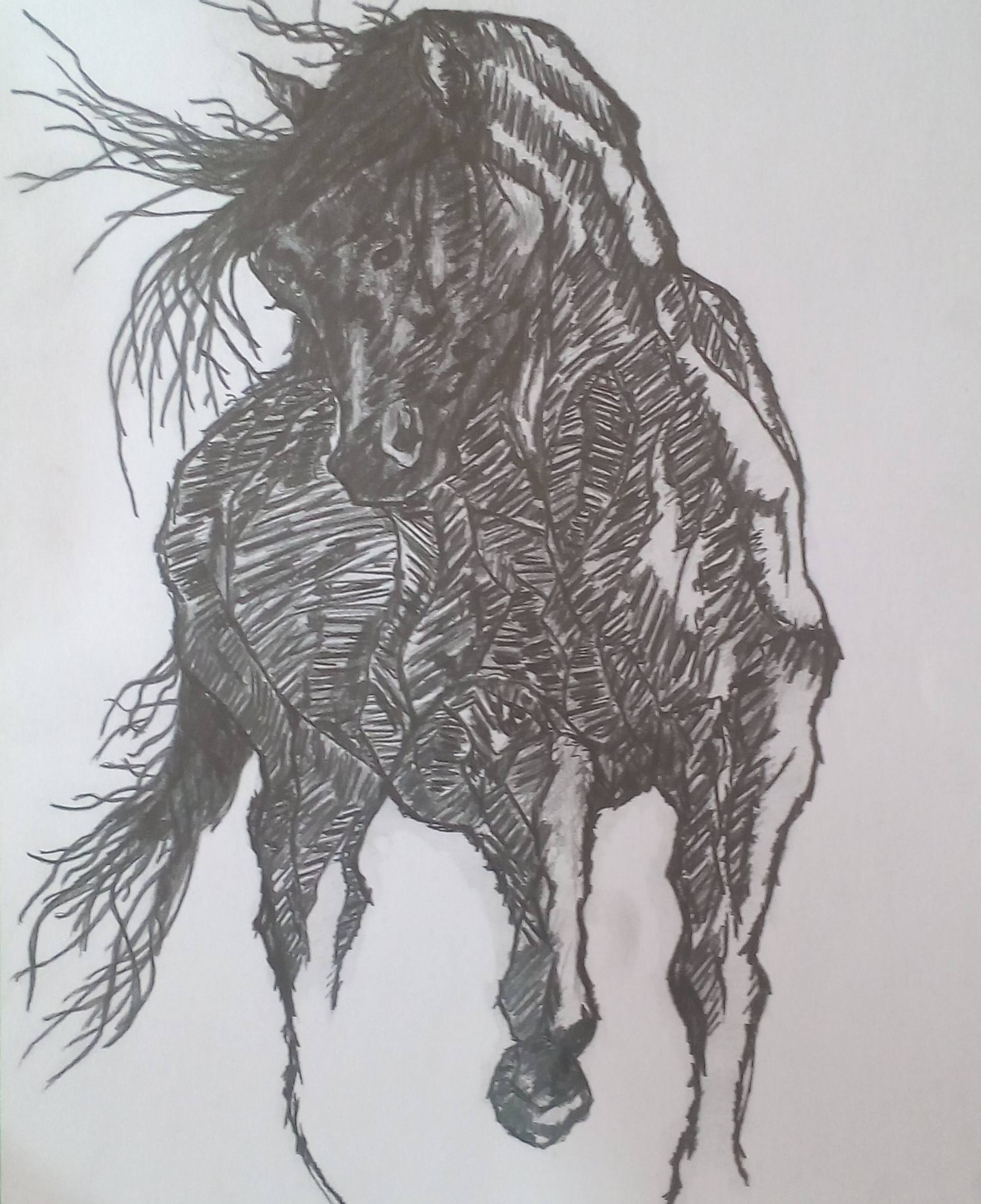 1920x2357 a running horse! drawing - Running Horse Drawing