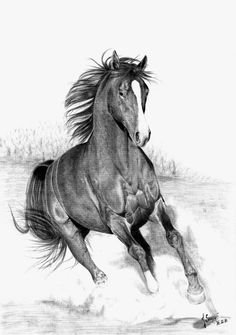 Running Horse Drawing at PaintingValley.com | Explore collection of ...