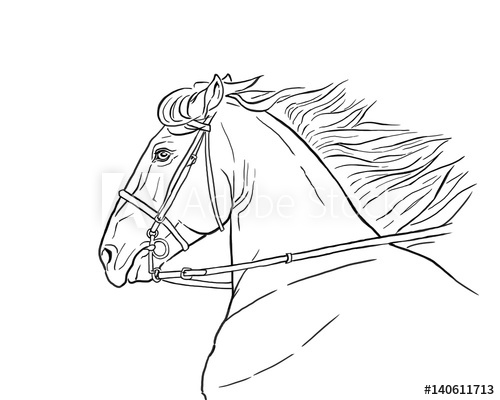 500x400 line drawing of a horse's head on a white background running - Running Horse Line Drawing