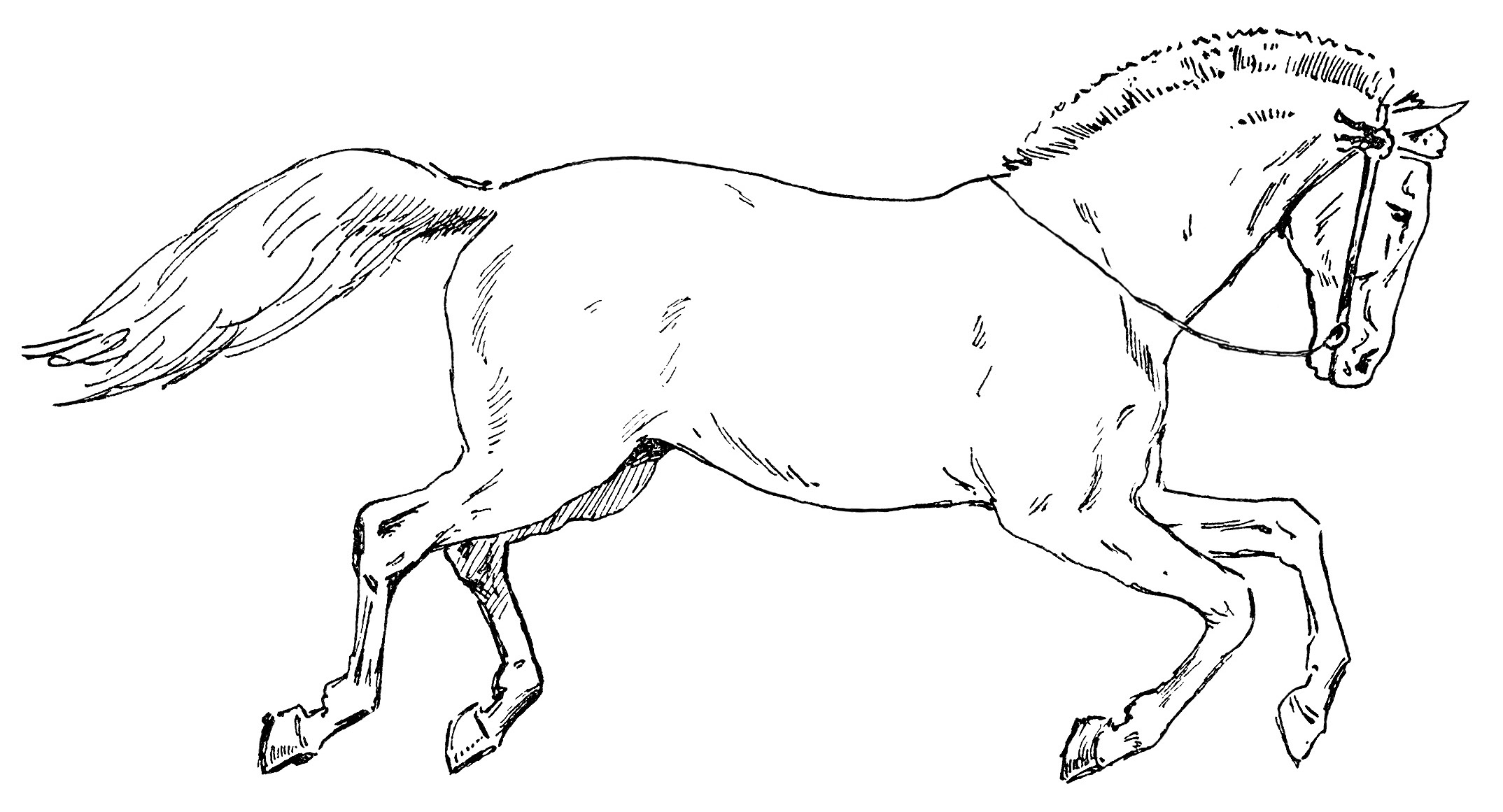 2148x1161 running horse clipart black and white clip art - Running Horse Line Drawing