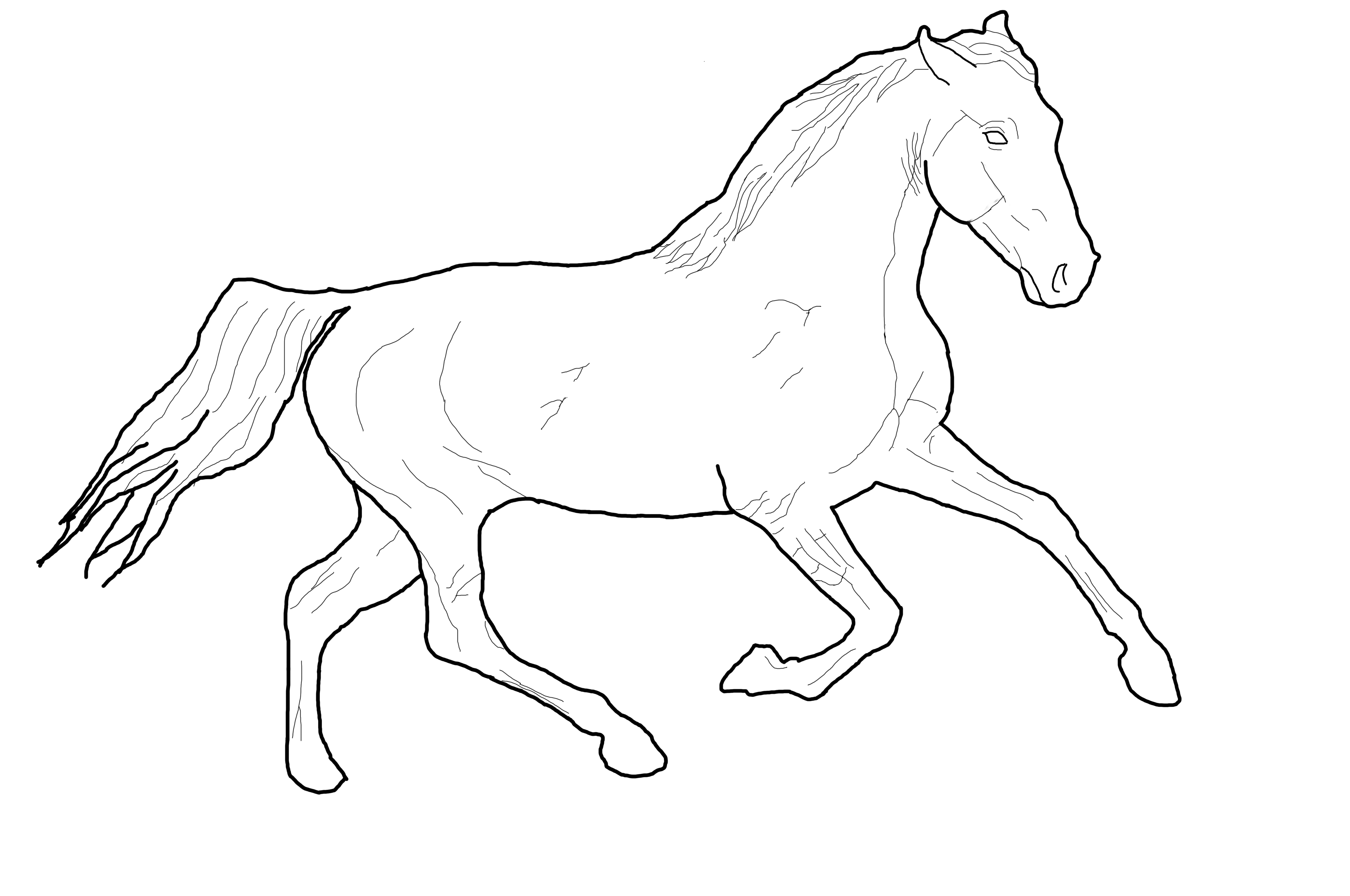 4752x3156 running horse line drawing - Running Horse Line Drawing