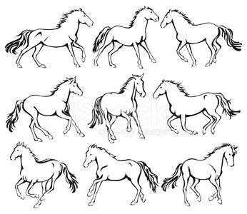 346x300 Wild Running Horses Line Art Stock Vectors - Running Horse Line Drawing
