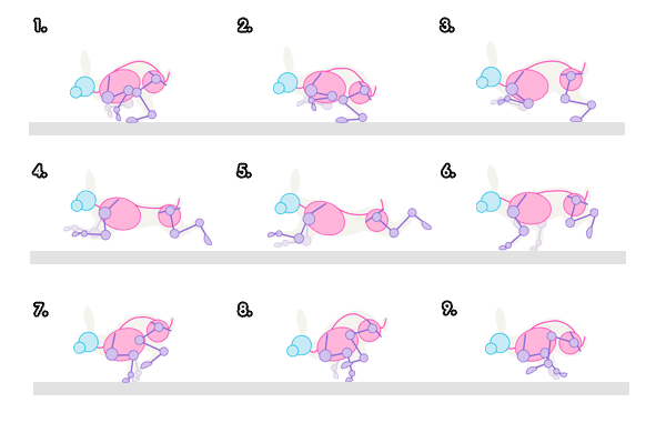 600x390 how to draw animals hares and rabbits - Running Rabbit Drawing