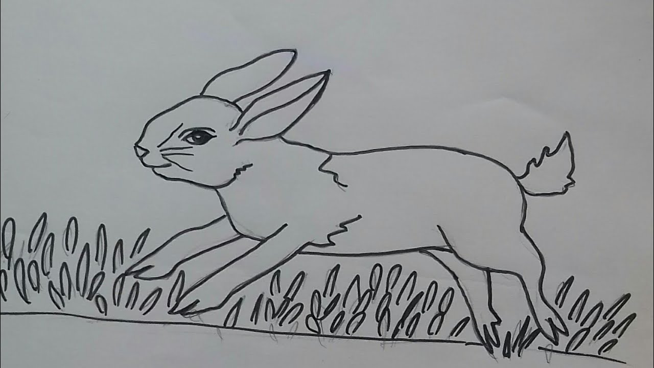 1280x720 How To Draw Sketch Of A Running Rabbit - Running Rabbit Drawing