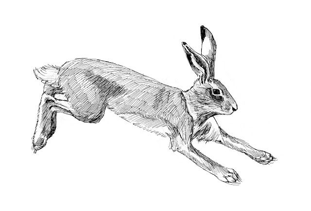 640x434 rabbit running sketch tattoo idea tattoo ideas simple tattoo - Running Rabbit Drawing
