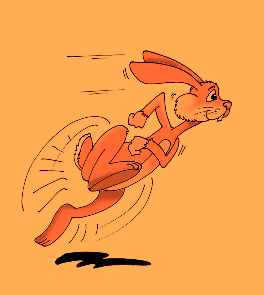 897x1000 run rabbit run late night writers - Running Rabbit Drawing