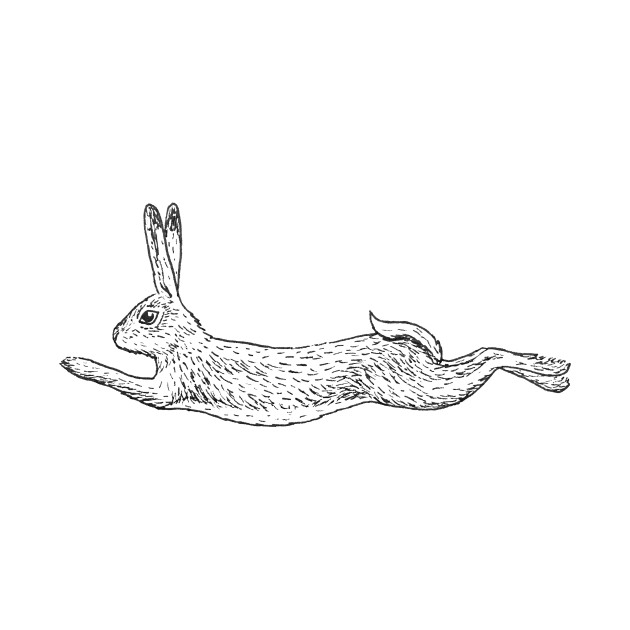 Running Rabbit Drawing at Explore collection of