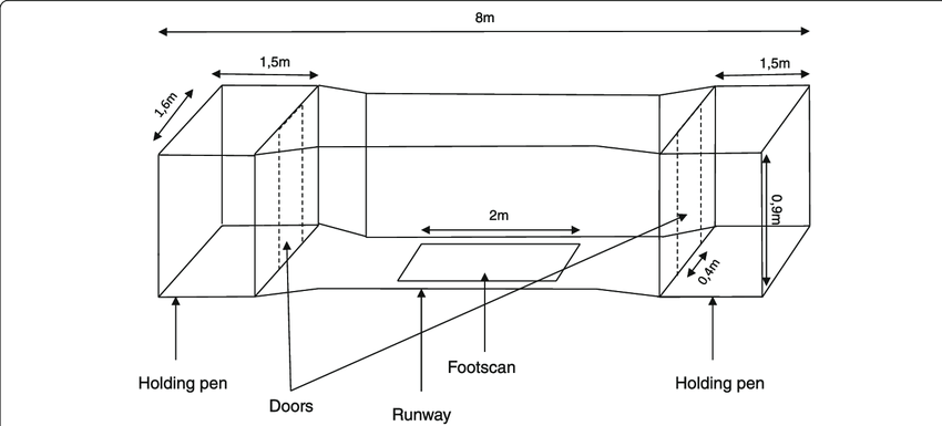 850x385 schematic drawing of the custom built runway with a pressure mat - Runway Drawing