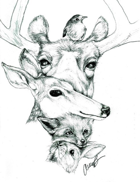 492x640 Forest Animals Original Wall Art - Rustic Drawings