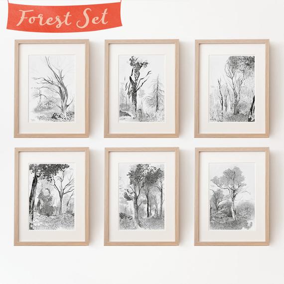570x570 Set Of Tree Drawings Fine Art Print Tree Images Nature Etsy - Rustic Drawings